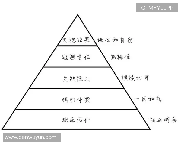 成都排球队的团队协作之道：如何在赛场上实现默契与配合